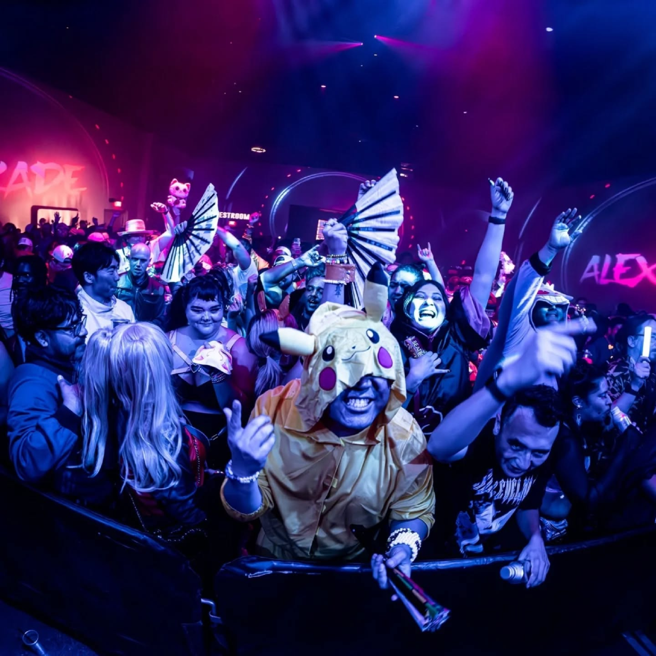 PORTLAND MAINE ANIME RAVE by Jet Streak ⚡️ | Laylo
